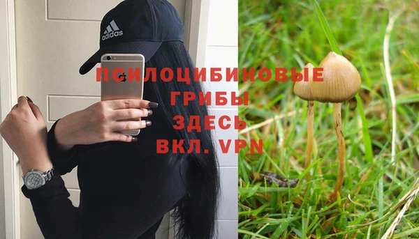 каннабис Михайловка