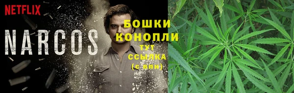 мдпв Михайловск